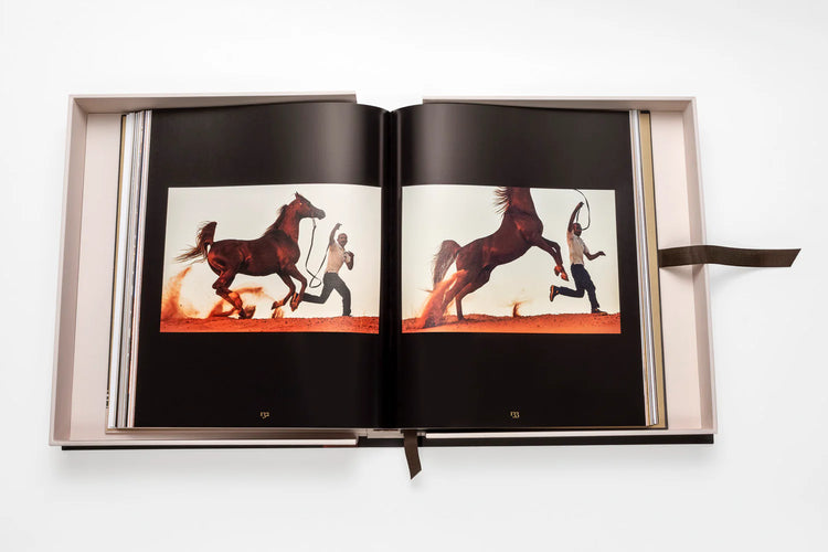 Horses from Saudi Arabia