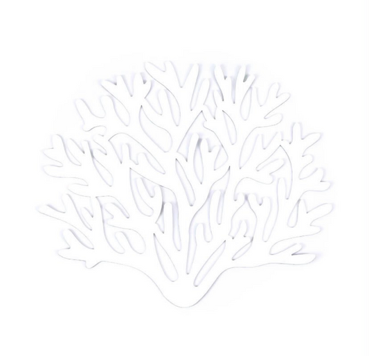 Curiosity Placemats Set of 2