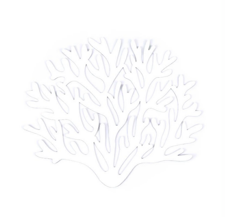 Curiosity Placemats Set of 2
