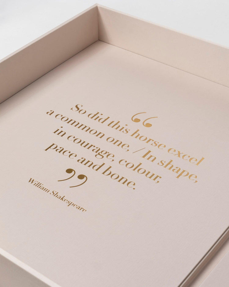 Horses from Saudi Arabia